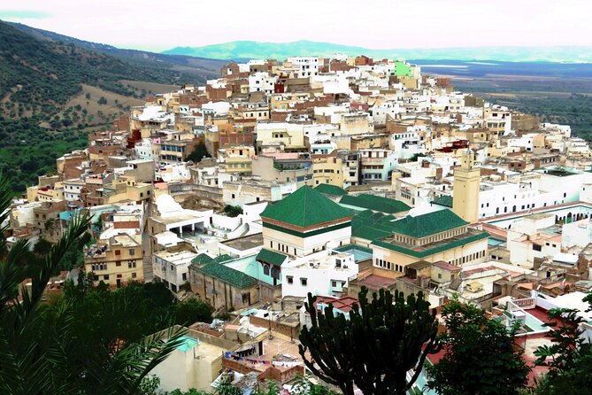 Moulay Idriss – Volubilis – Meknes Tour - Morocco