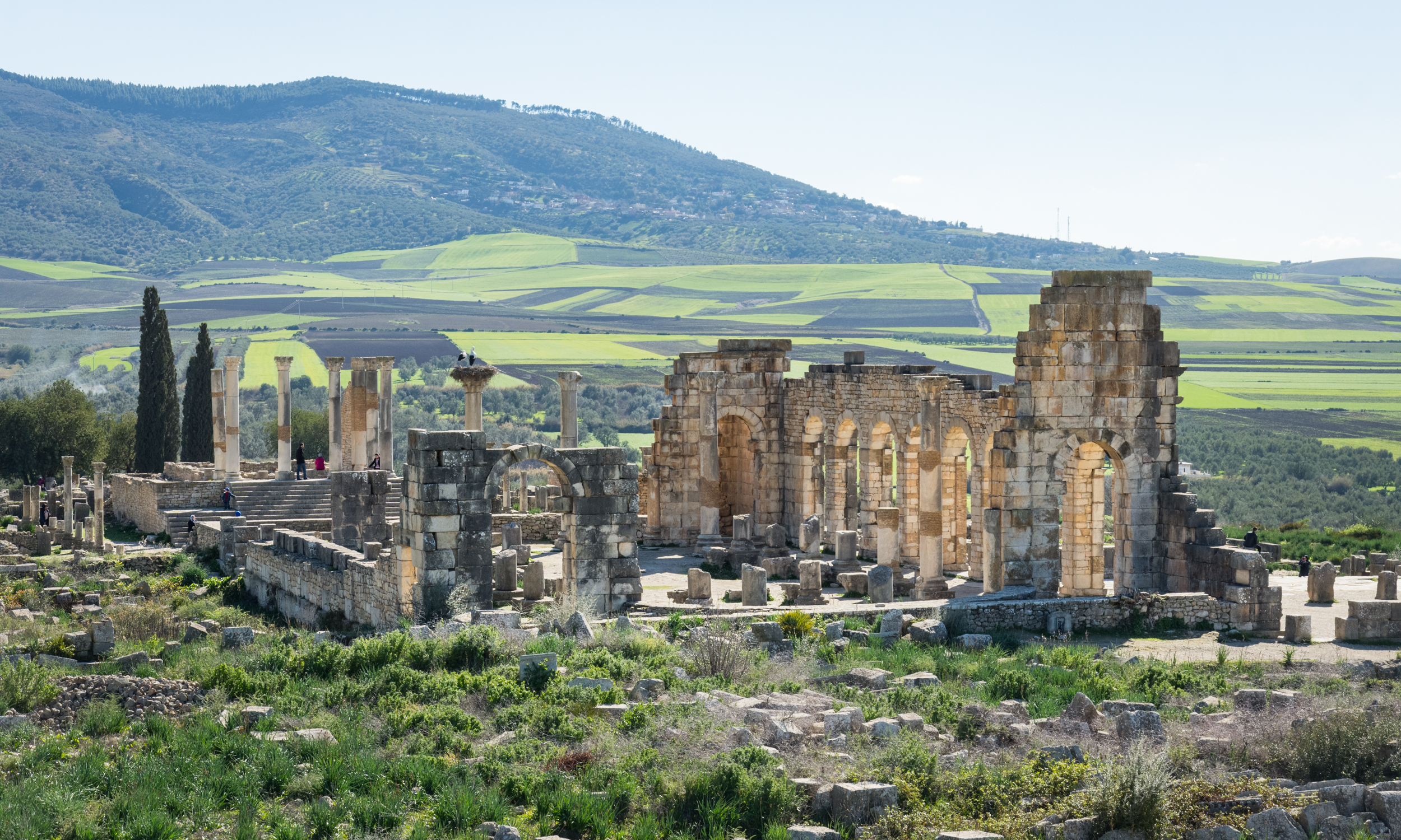Volubilis